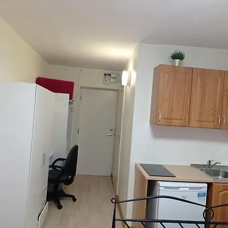 公寓 Private Room With Private Bath Share Kitchen 塔林